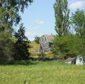 Meet your Posher, Tamara